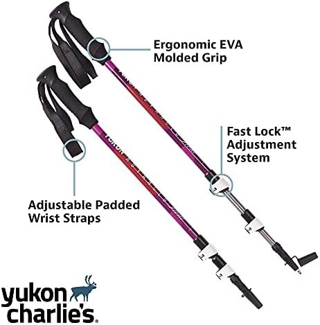 Advanced float trekking poles for snowshoeing — photo 3