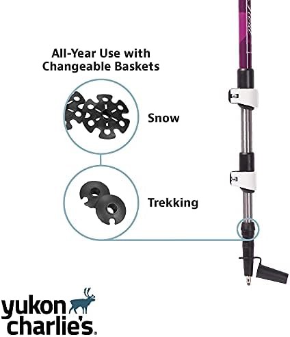 Advanced float trekking poles for snowshoeing — photo 4