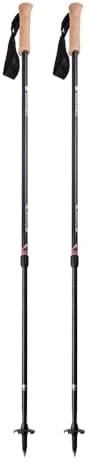 Mountainsmith Andesite carbon trekking poles