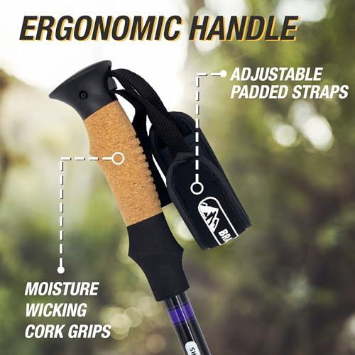 Brazos aluminum collapsible walking sticks — photo 4